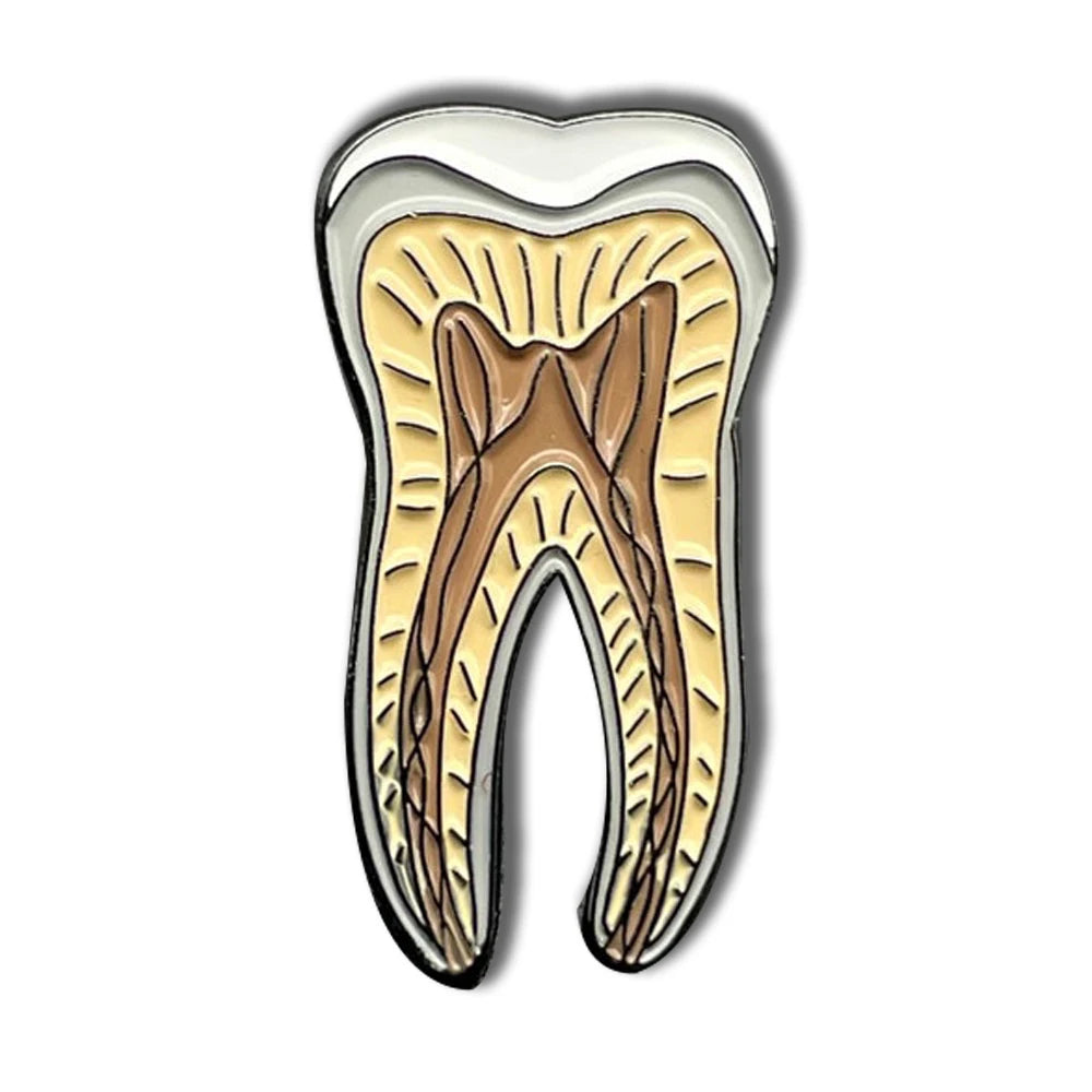 Dental Tooth Collection Brooch - Professional Enamel Lapel Pin for Dental Teams