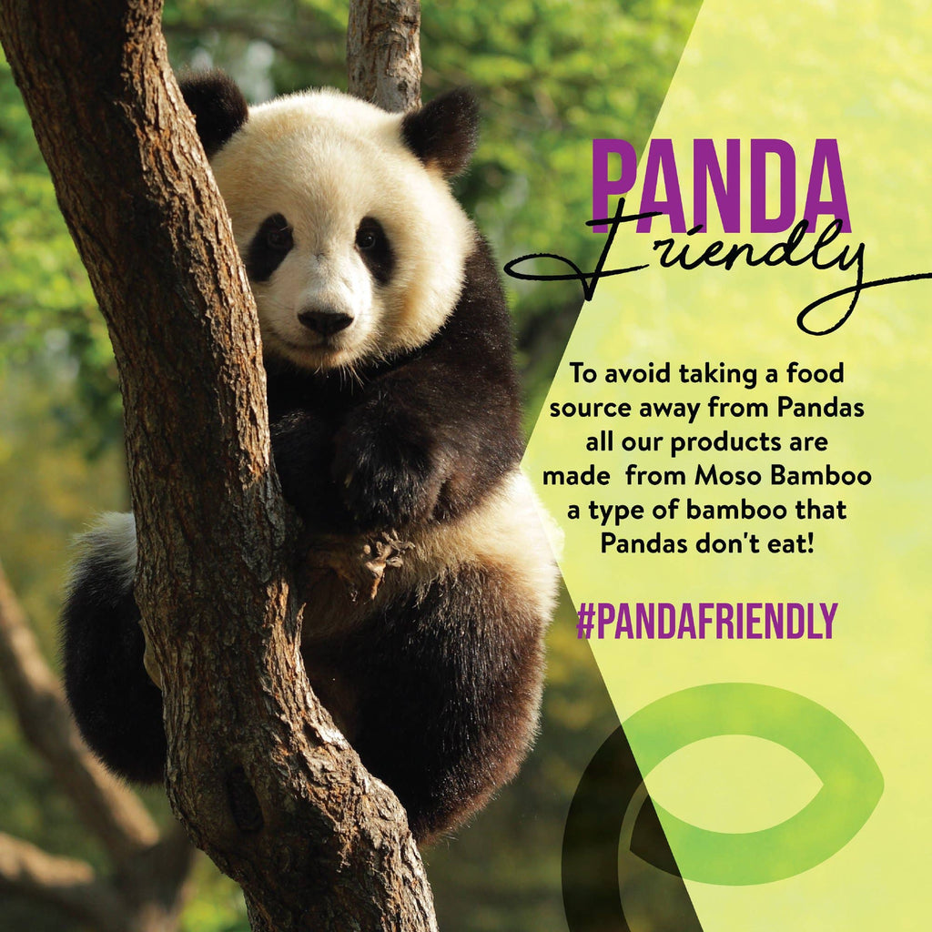 Bamboo Toothbrush Travel Case - 1 unit