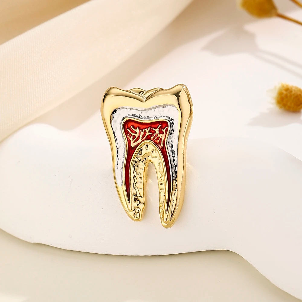 Tooth Anatomy Enamel Pin - Medical Dental Brooch for Professionals